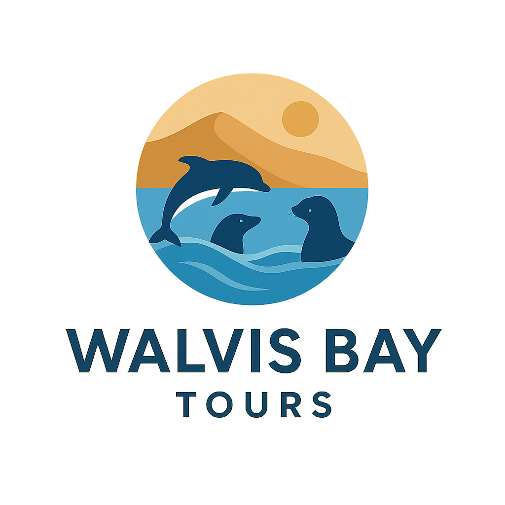 discoverwalvisbay.com